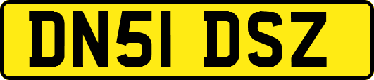 DN51DSZ