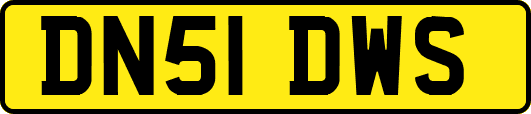 DN51DWS