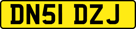 DN51DZJ