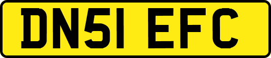 DN51EFC