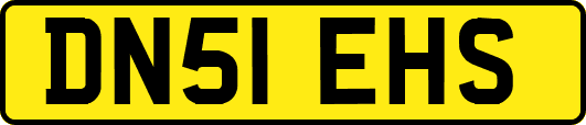 DN51EHS