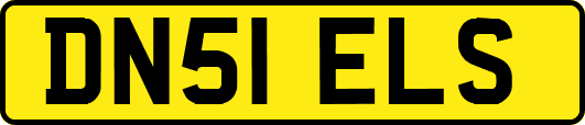 DN51ELS