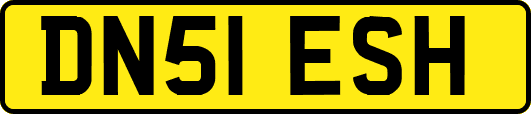 DN51ESH