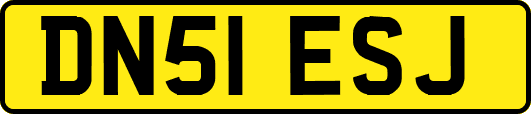 DN51ESJ