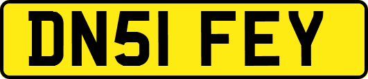 DN51FEY