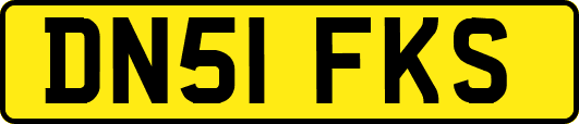 DN51FKS