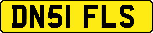 DN51FLS