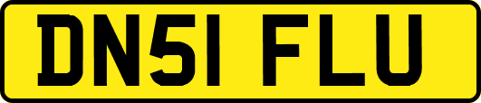 DN51FLU