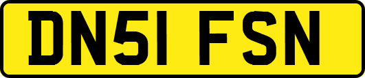 DN51FSN