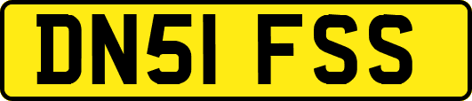 DN51FSS