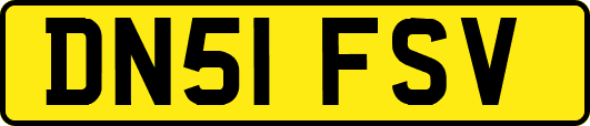 DN51FSV