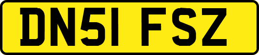 DN51FSZ