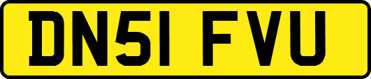 DN51FVU