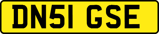 DN51GSE