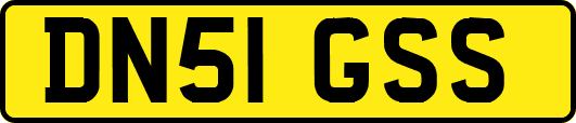 DN51GSS