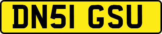 DN51GSU