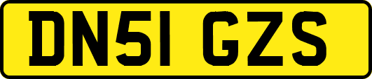 DN51GZS