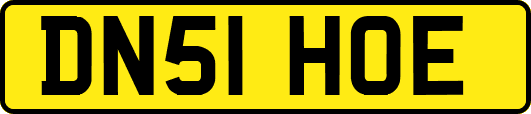 DN51HOE