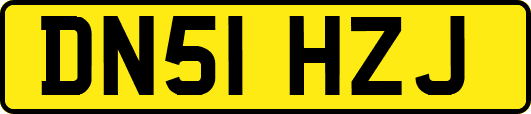 DN51HZJ
