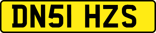 DN51HZS