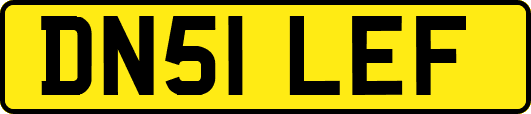 DN51LEF