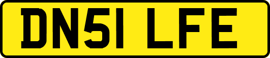 DN51LFE