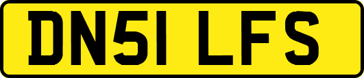 DN51LFS