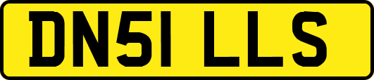 DN51LLS