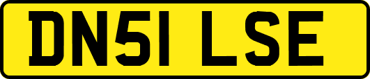 DN51LSE