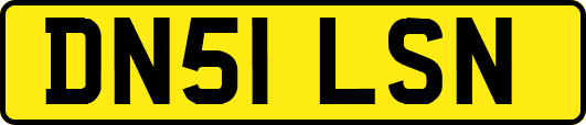 DN51LSN