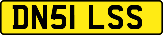 DN51LSS