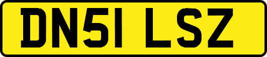 DN51LSZ