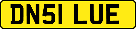 DN51LUE