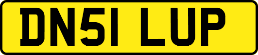 DN51LUP