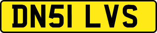 DN51LVS