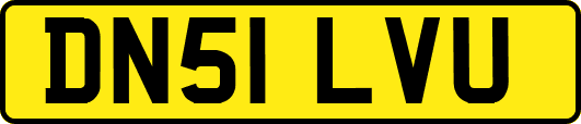 DN51LVU