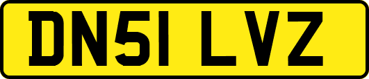 DN51LVZ