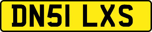 DN51LXS