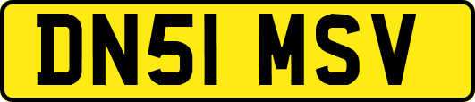 DN51MSV