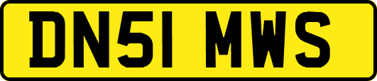DN51MWS