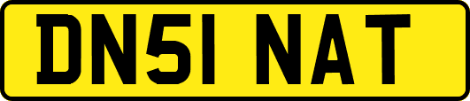 DN51NAT