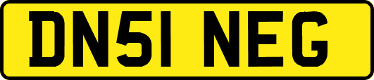 DN51NEG