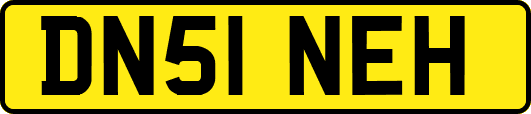 DN51NEH