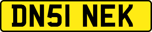 DN51NEK