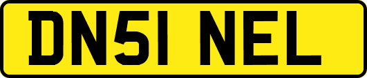 DN51NEL