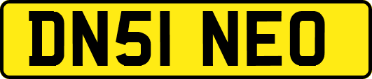 DN51NEO