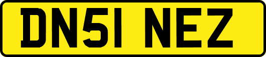 DN51NEZ