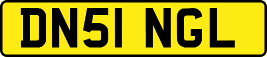 DN51NGL