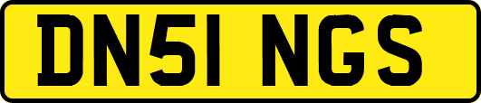 DN51NGS