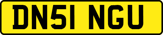 DN51NGU